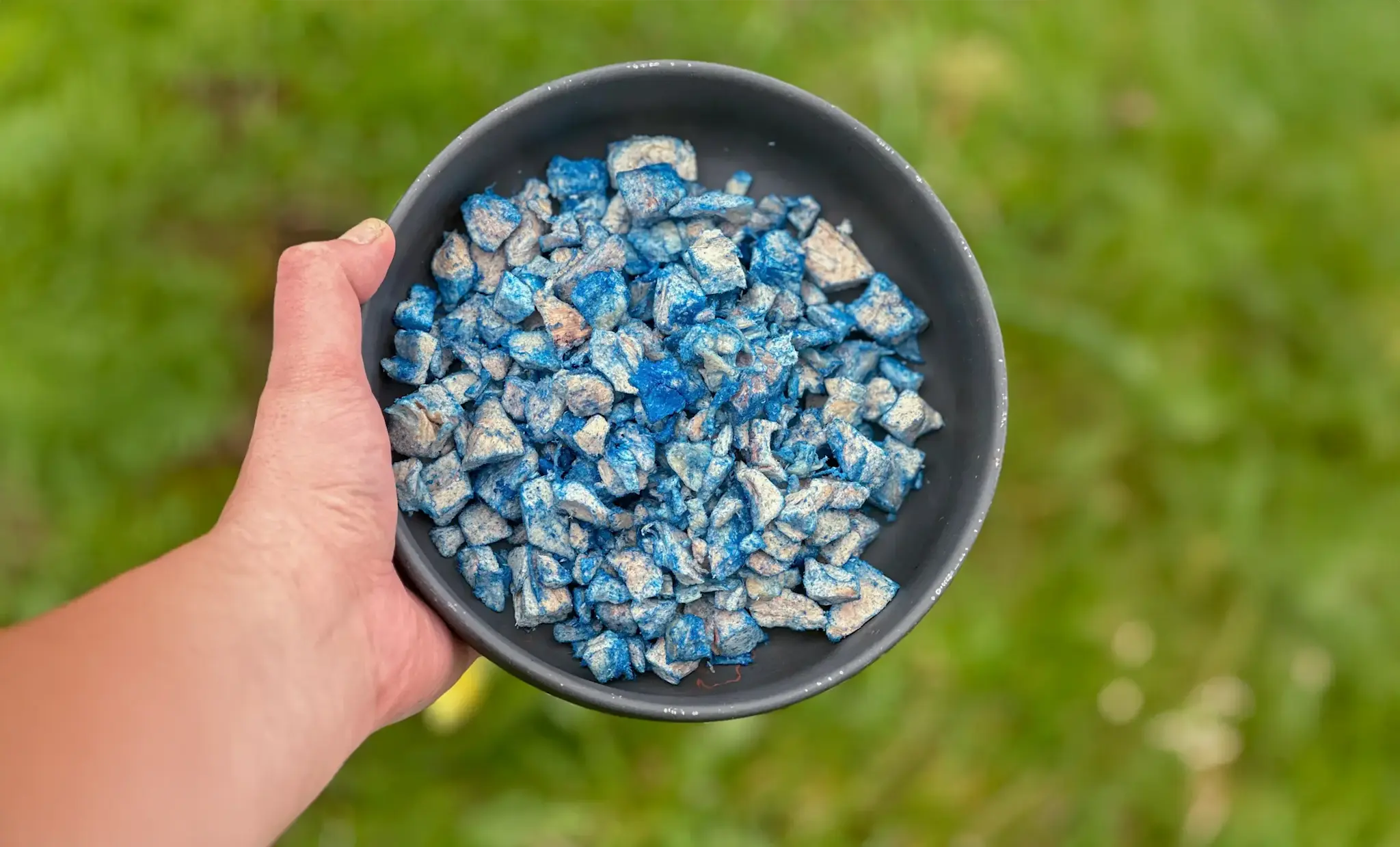 Hokuō® Kip met Ultieme Blauwe Spirulina