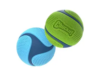 Chuckit! Sniff Fetch Ball
