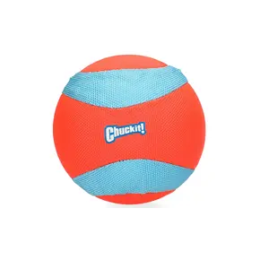 Chuckit! Amphibious Mega Ball
