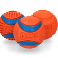 Chuckit! Fetch Medley Gen3