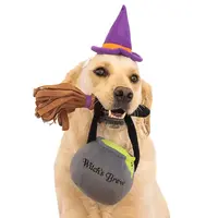ZippyPaws Halloween Costume Kit Witch