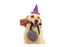 ZippyPaws Halloween Costume Kit Witch