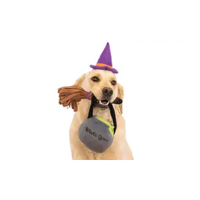 ZippyPaws Halloween Costume Kit Witch