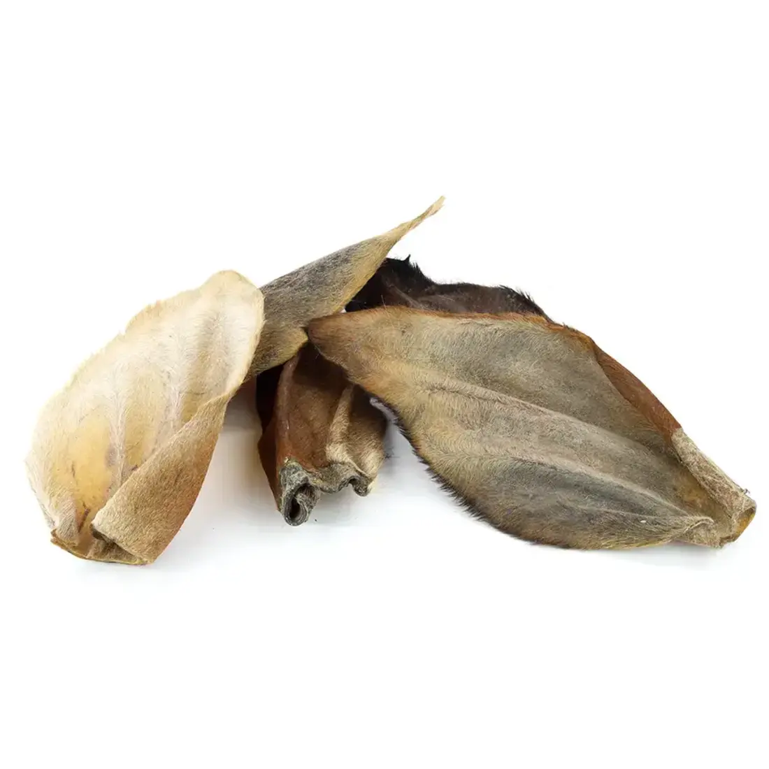 Paardenoren met Vacht