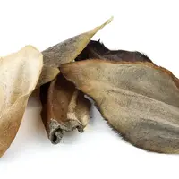 Paardenoren met Vacht