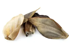 Paardenoren met Vacht