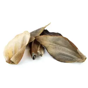 Paardenoren met Vacht