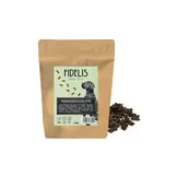 Fidelis Trainers Paard