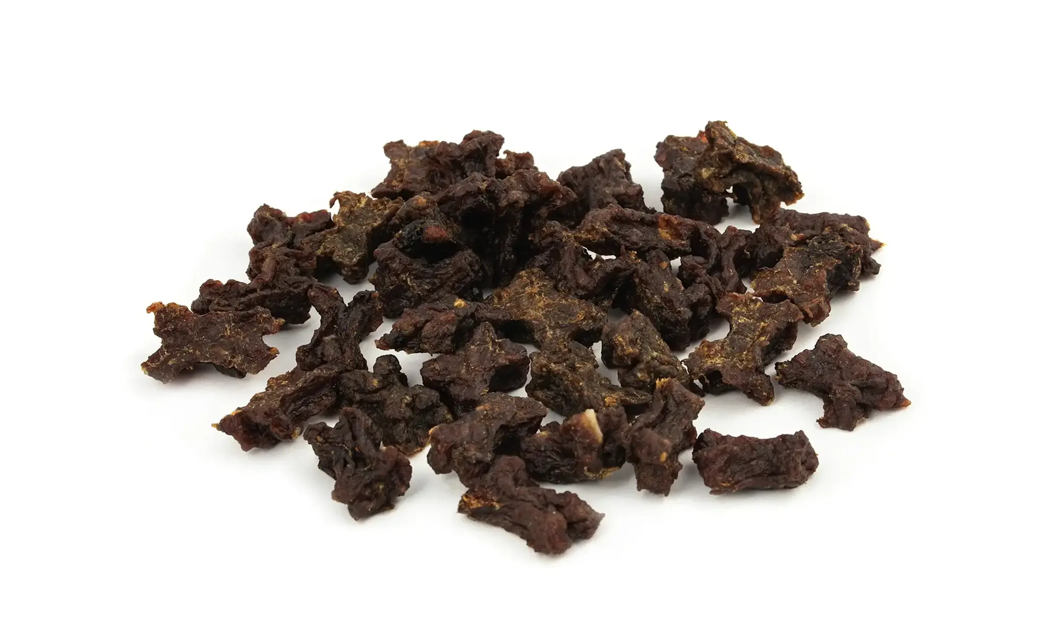 Fidelis Trainers Paard