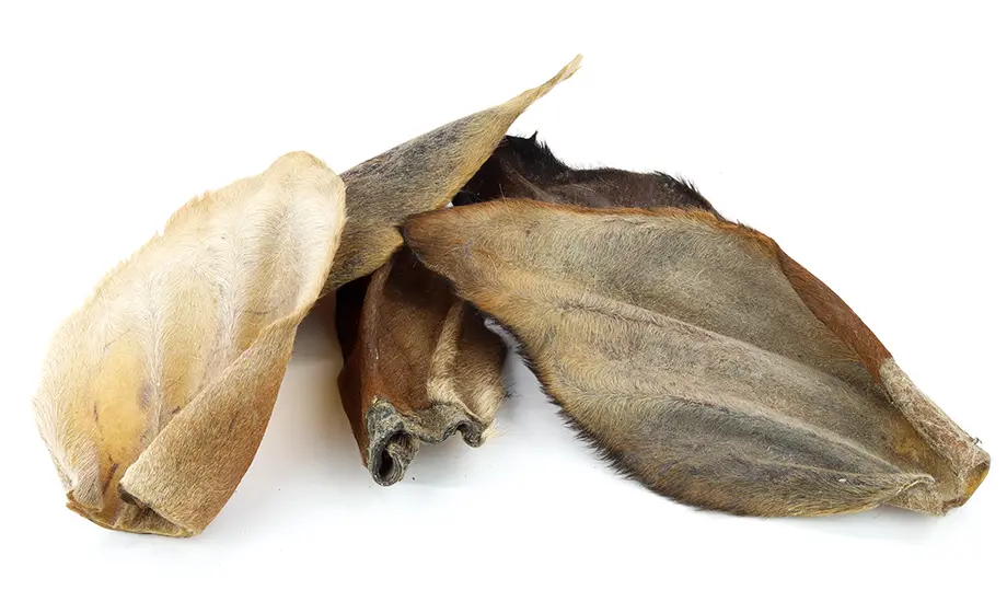 Nieuwe Natuurlijke Hondensnacks toegevoegd