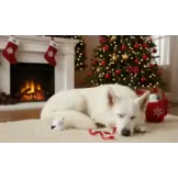 ZippyPaws Holiday Zippy Burrow Hot Cocoa