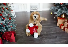 ZippyPaws Holiday Zippy Burrow Hot Cocoa