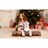 HugSmart Snow Paws - Snowman