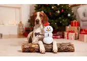 HugSmart Snow Paws - Snowman