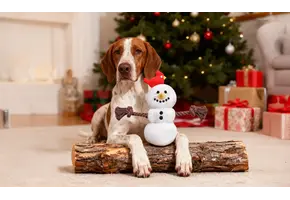 HugSmart Snow Paws - Snowman