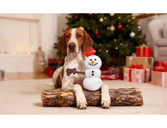 HugSmart Snow Paws - Snowman