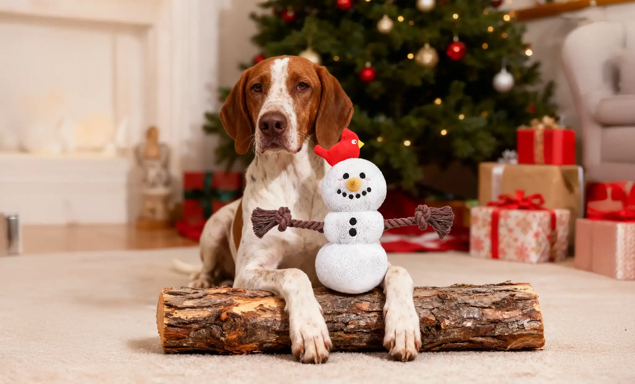 HugSmart Snow Paws - Snowman