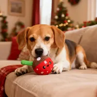 HugSmart Happy Woofmas – Hot Cocoa Ball