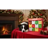 ZippyPaws Holiday Advent Calender