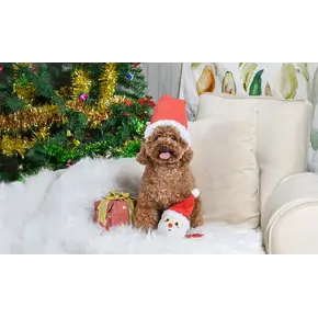 HugSmart Happy Woofmas – Santa Ball