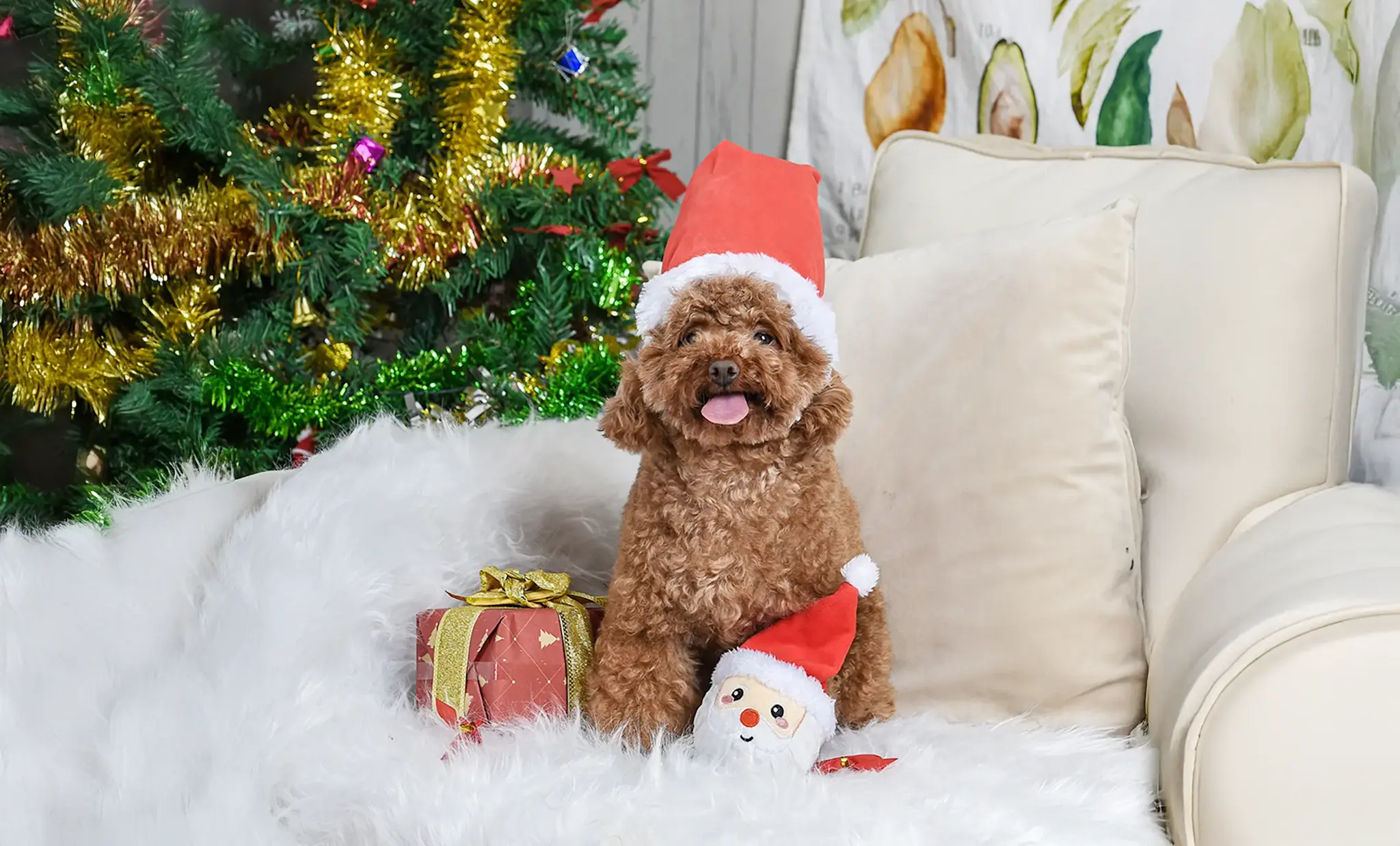 HugSmart Happy Woofmas – Santa Ball