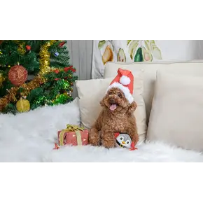 HugSmart Happy Woofmas – Penguin Ball