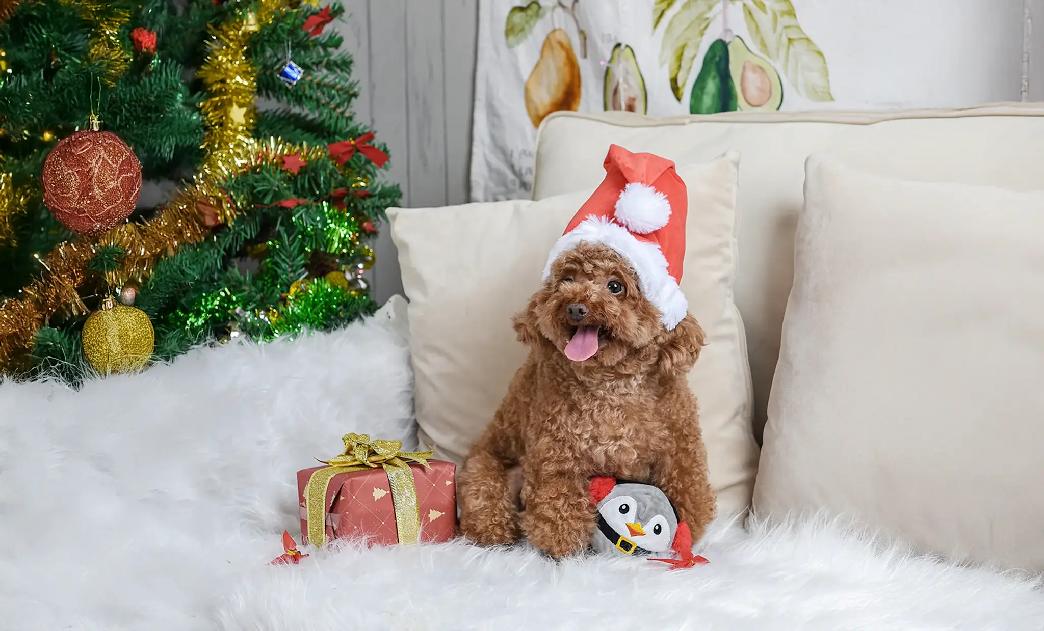 HugSmart Happy Woofmas – Penguin Ball