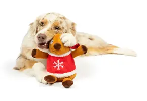 Huxley & Kent Lulubelles Holiday Rocky Reindeer