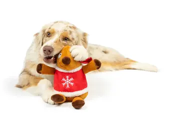 Huxley & Kent Lulubelles Holiday Rocky Reindeer