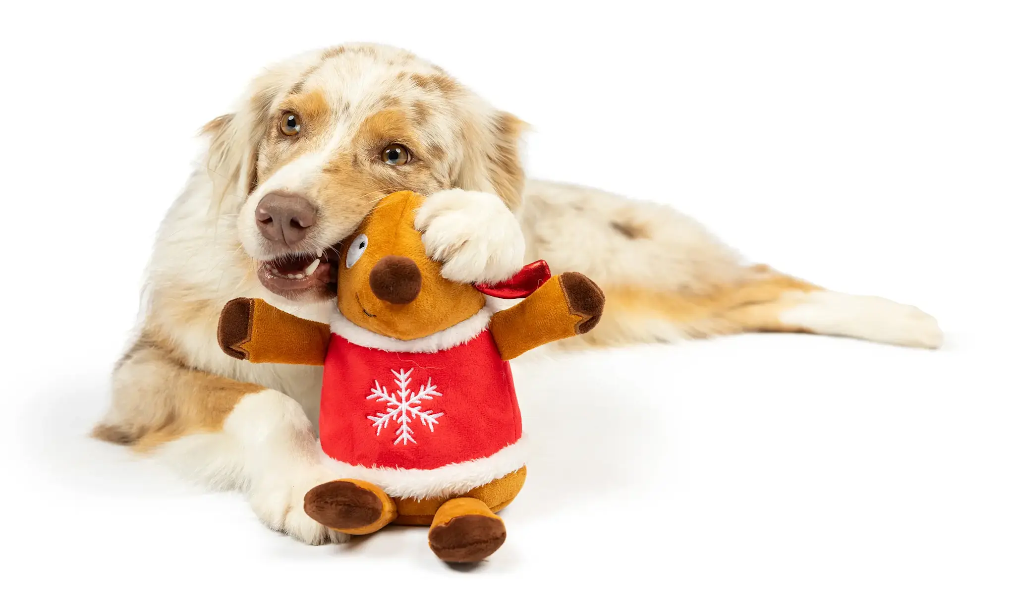 Huxley & Kent Lulubelles Holiday Rocky Reindeer