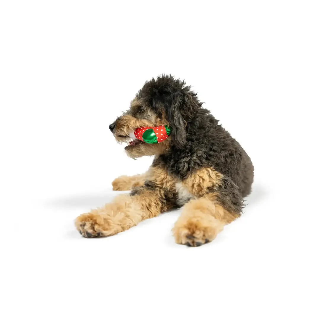 Huxley & Kent Lulubelles Tiny Tuff Ugly Sweater Party 2-pack