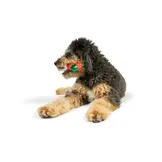 Huxley & Kent Lulubelles Tiny Tuff Ugly Sweater Party 2-pack