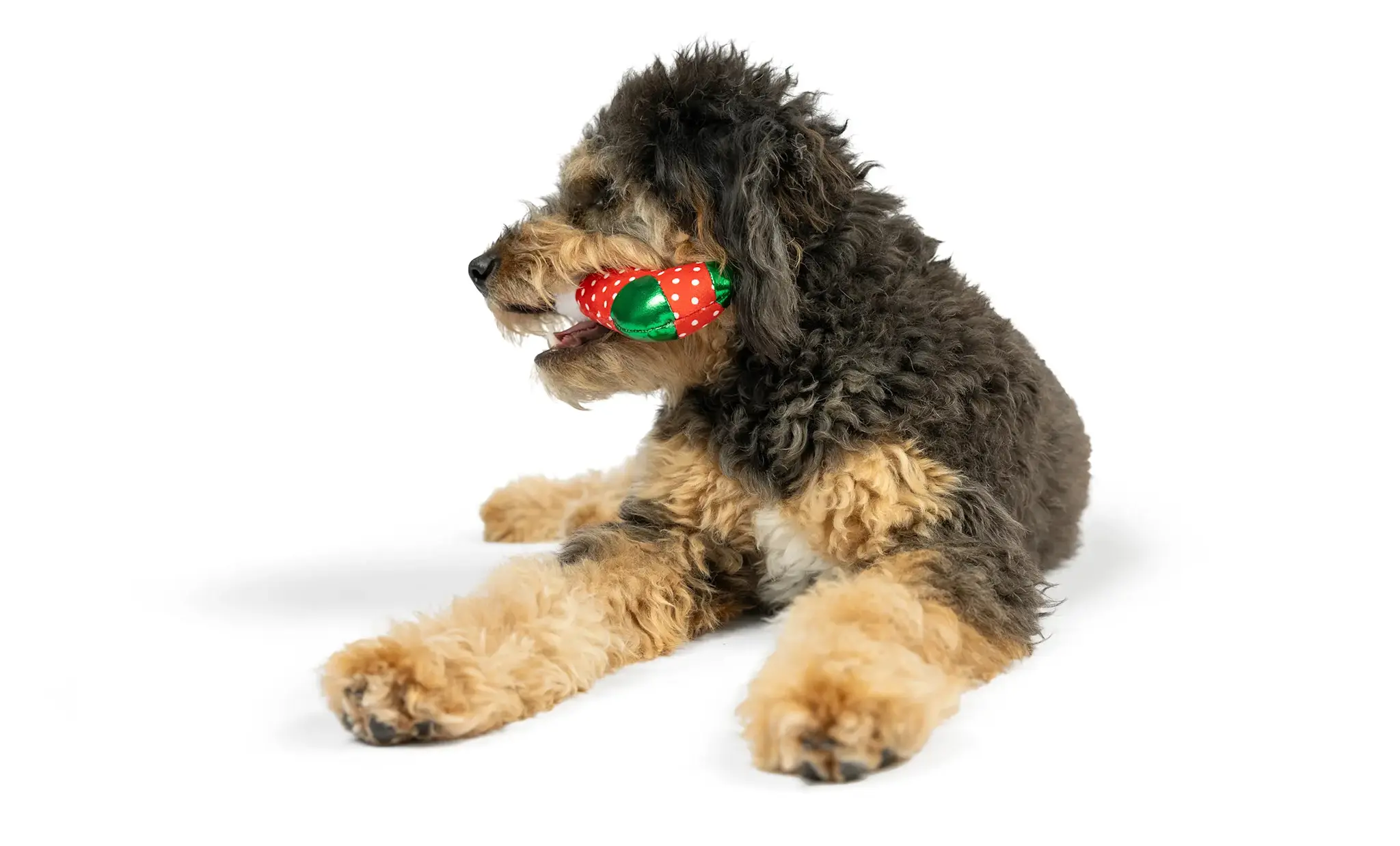 Huxley & Kent Lulubelles Tiny Tuff Ugly Sweater Party 2-pack