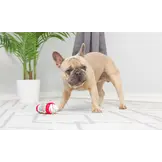 Huxley & Kent Lulubelles Tiny Tuff Christmas Treats 2-pack