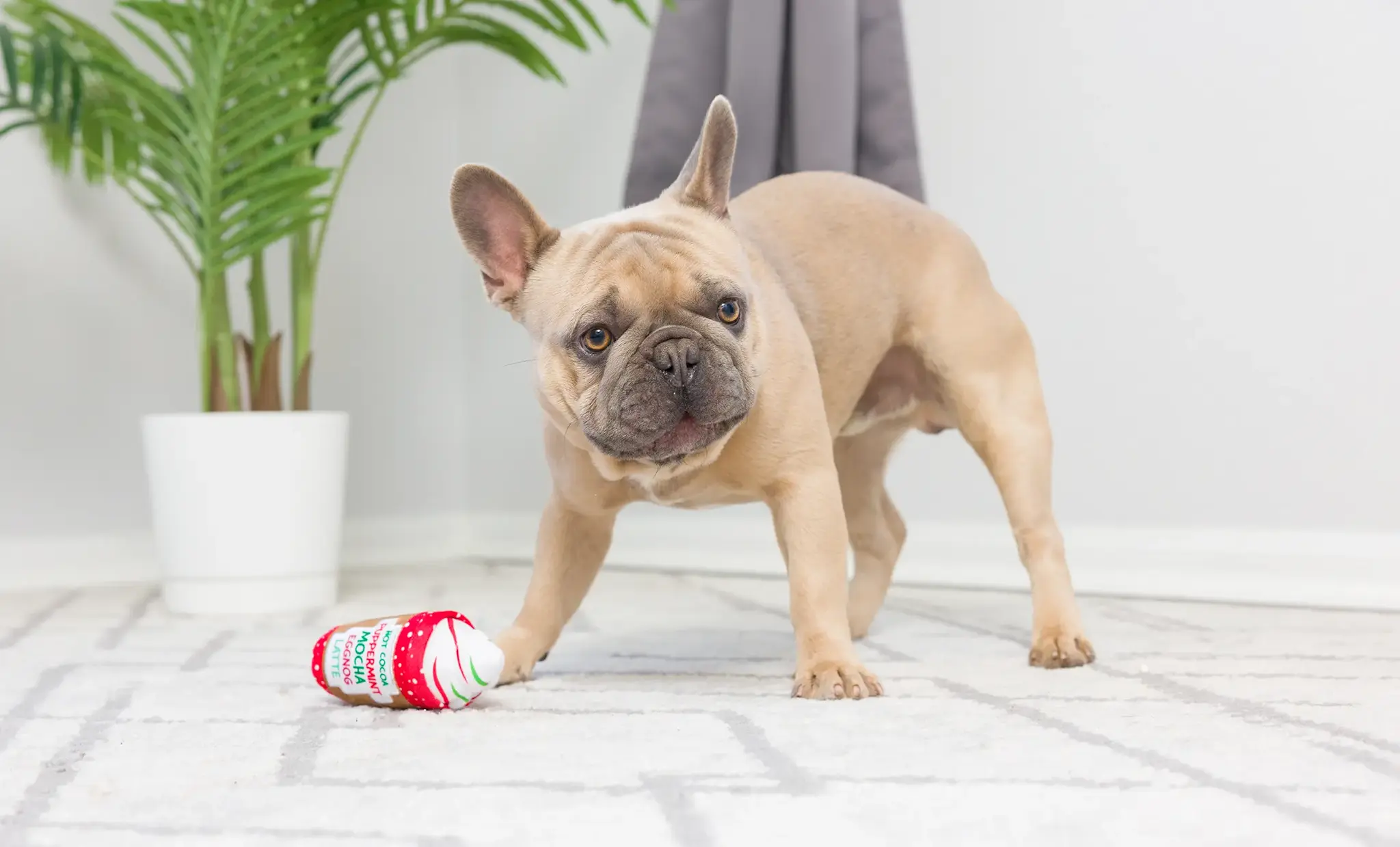 Huxley & Kent Lulubelles Tiny Tuff Christmas Treats 2-pack