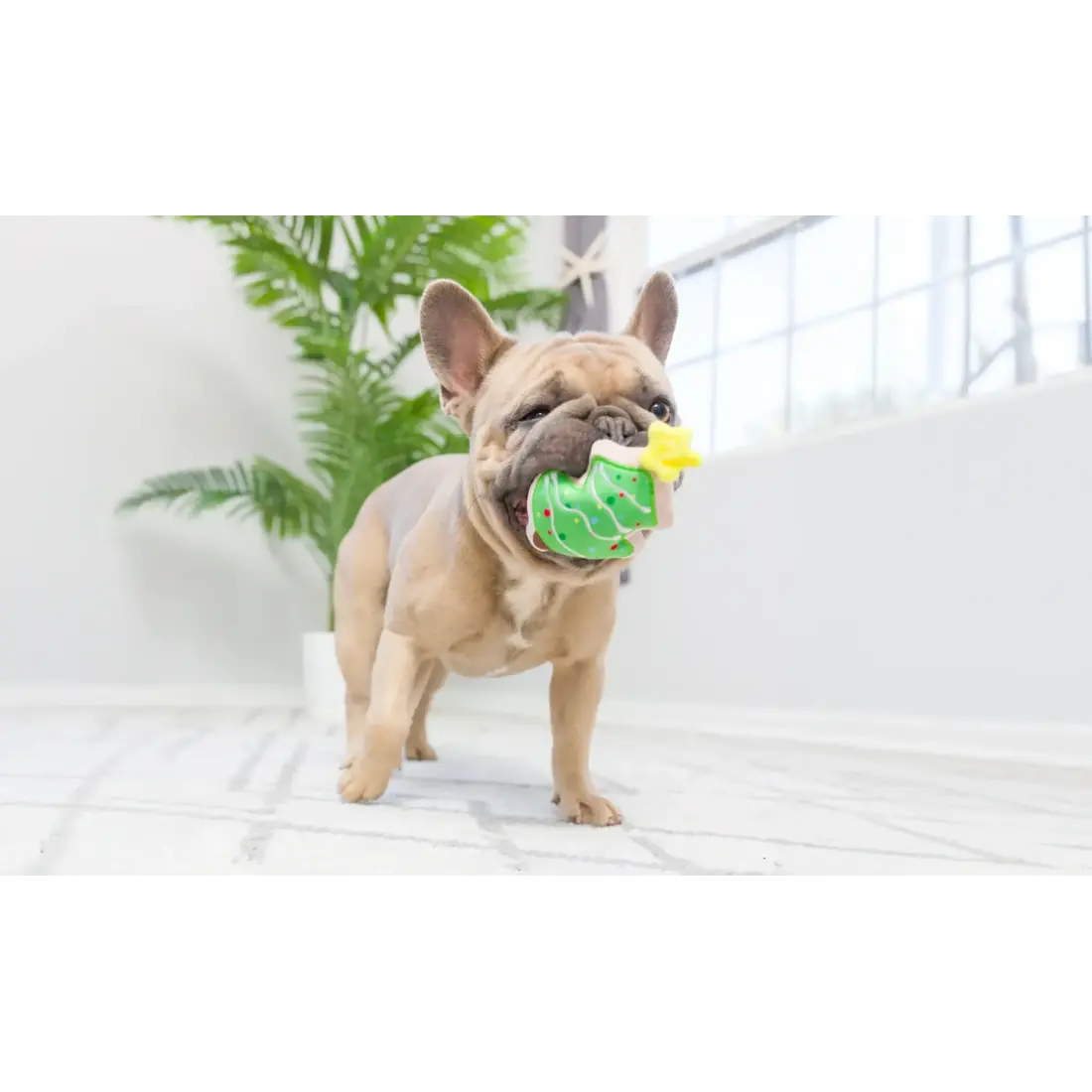 Huxley & Kent Lulubelles Tiny Tuff Christmas Treats 2-pack