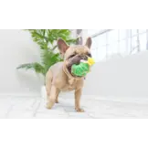 Huxley & Kent Lulubelles Tiny Tuff Christmas Treats 2-pack