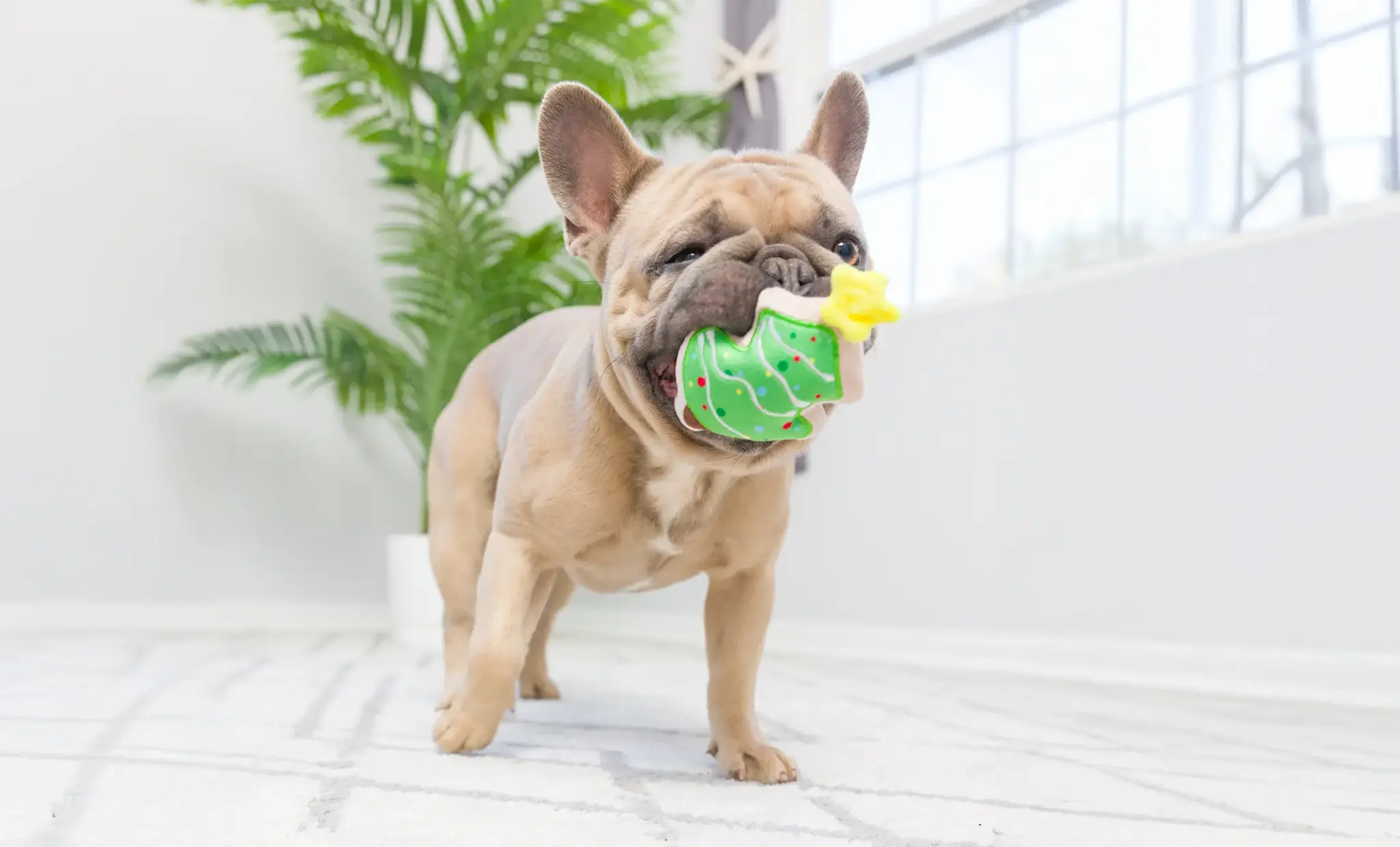 Huxley & Kent Lulubelles Tiny Tuff Christmas Treats 2-pack