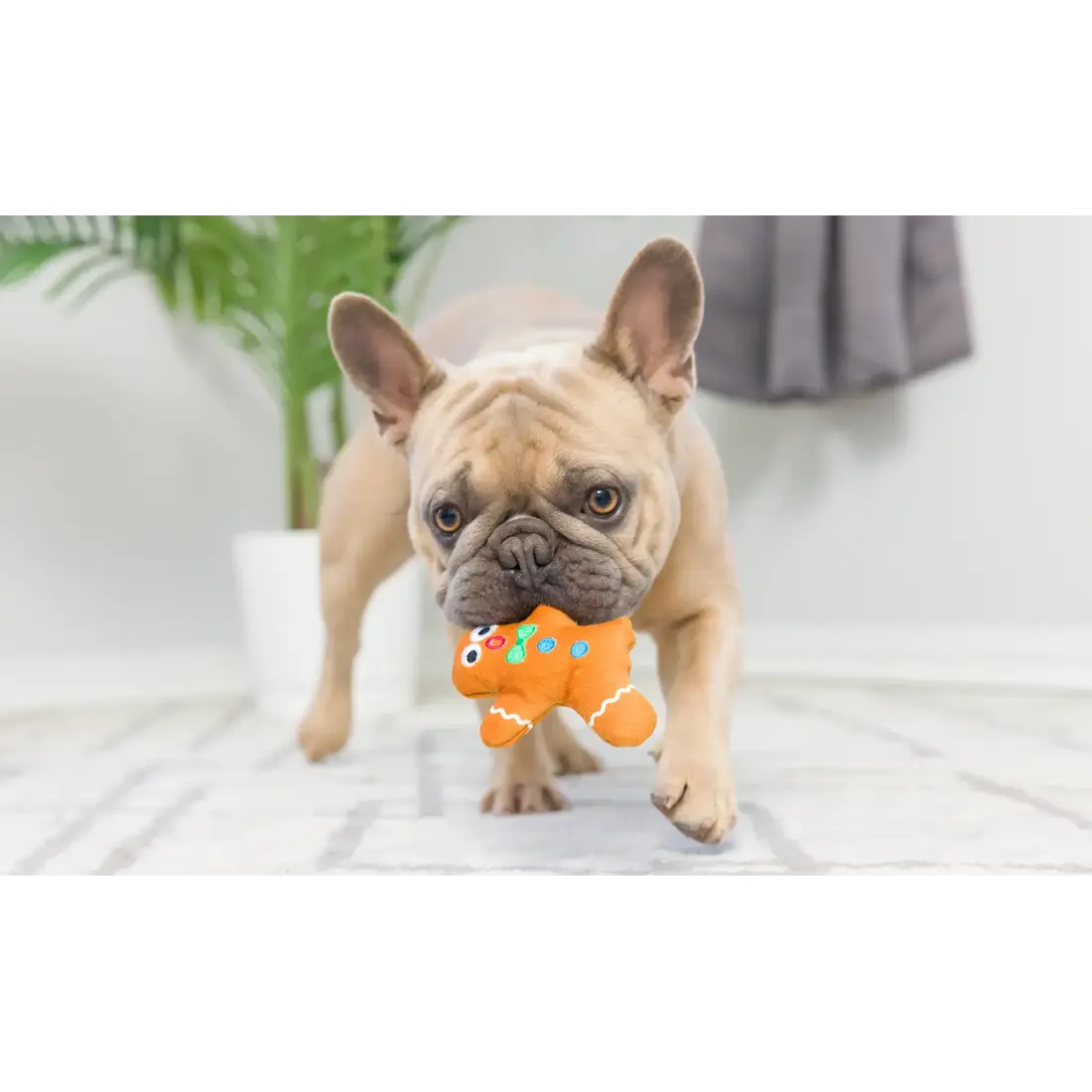 Huxley & Kent Lulubelles Tiny Tuff Dunk & Crunch 2-pack