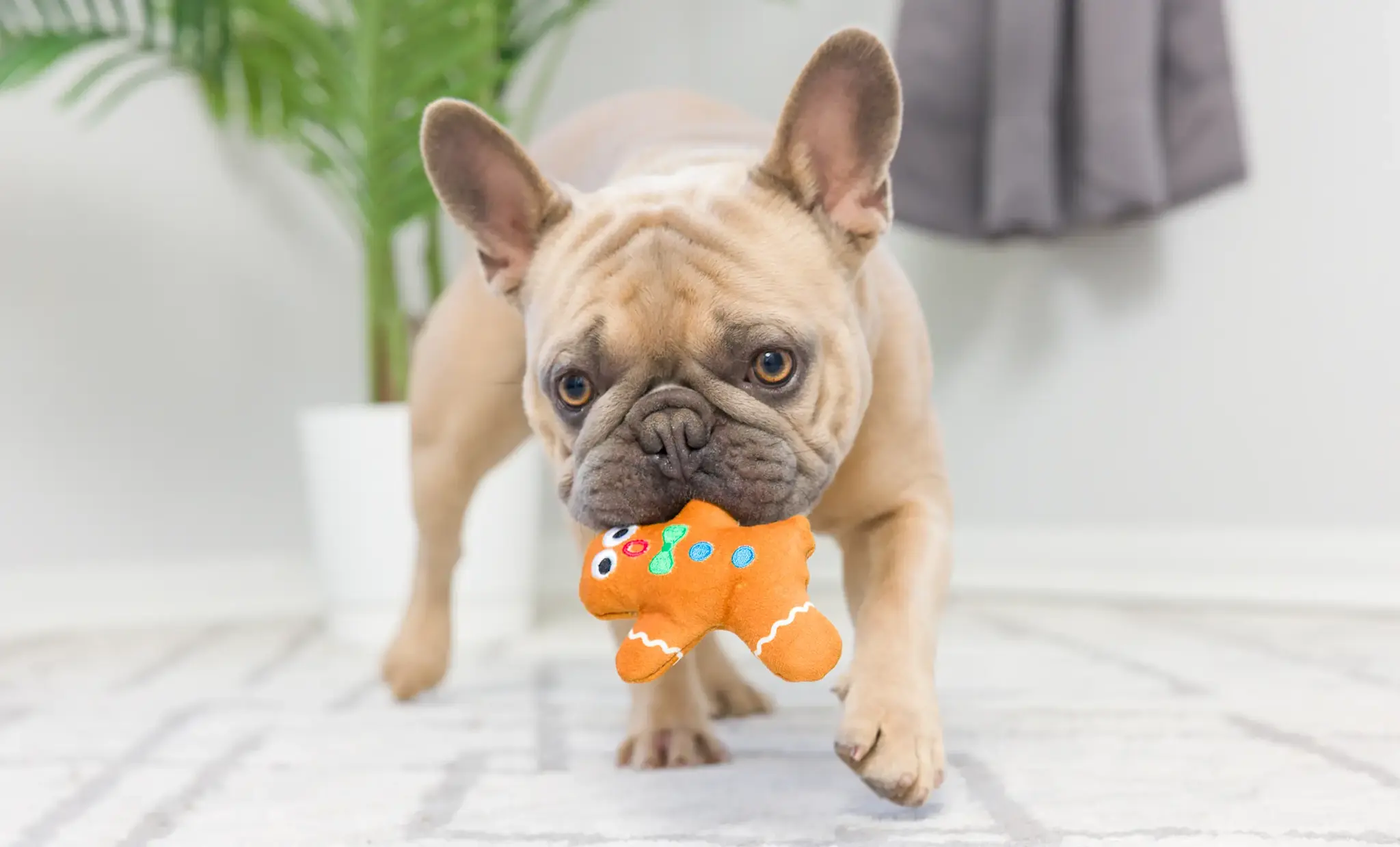 Huxley & Kent Lulubelles Tiny Tuff Dunk & Crunch 2-pack