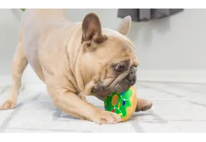 Huxley & Kent Lulubelles Tiny Tuff Dunk & Crunch 2-pack