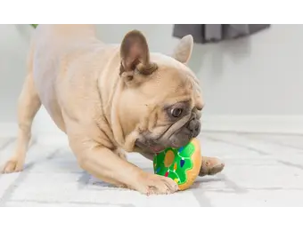 Huxley & Kent Lulubelles Tiny Tuff Dunk & Crunch 2-pack