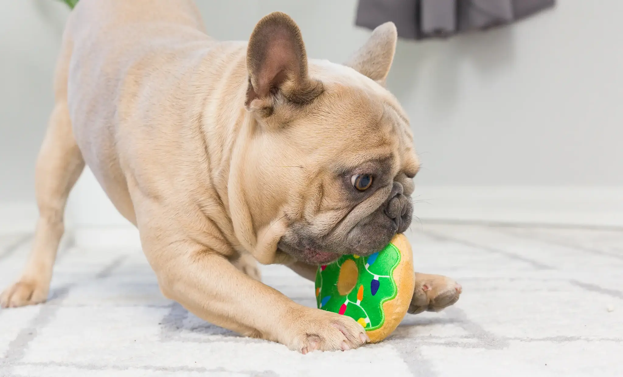 Huxley & Kent Lulubelles Tiny Tuff Dunk & Crunch 2-pack