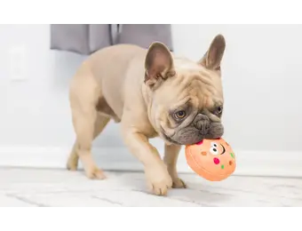 Huxley & Kent Lulubelles Tiny Tuff Santa’s Snack 2-pack