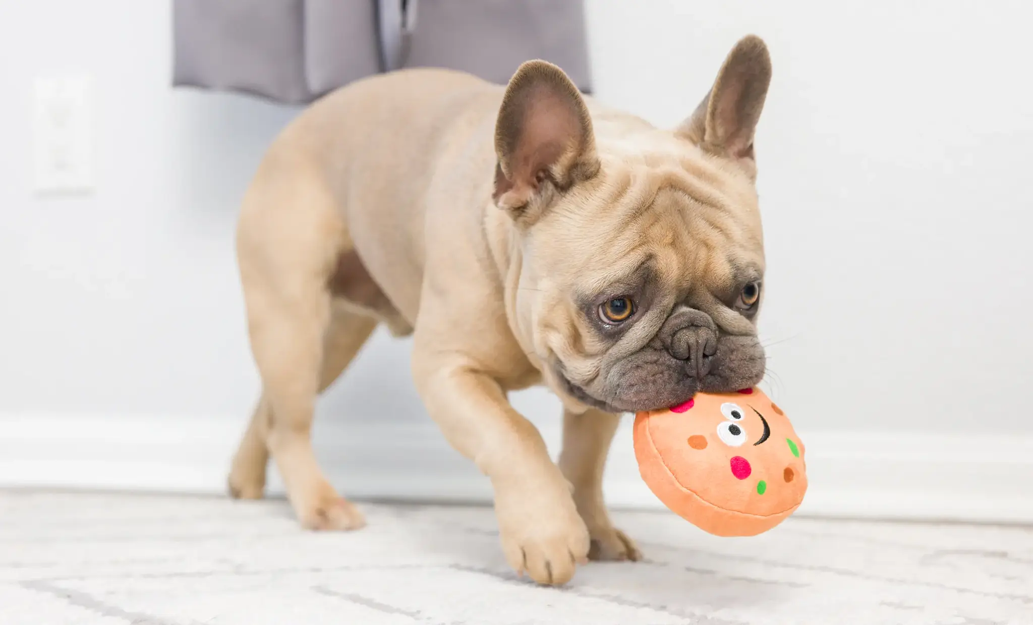 Huxley & Kent Lulubelles Tiny Tuff Santa’s Snack 2-pack