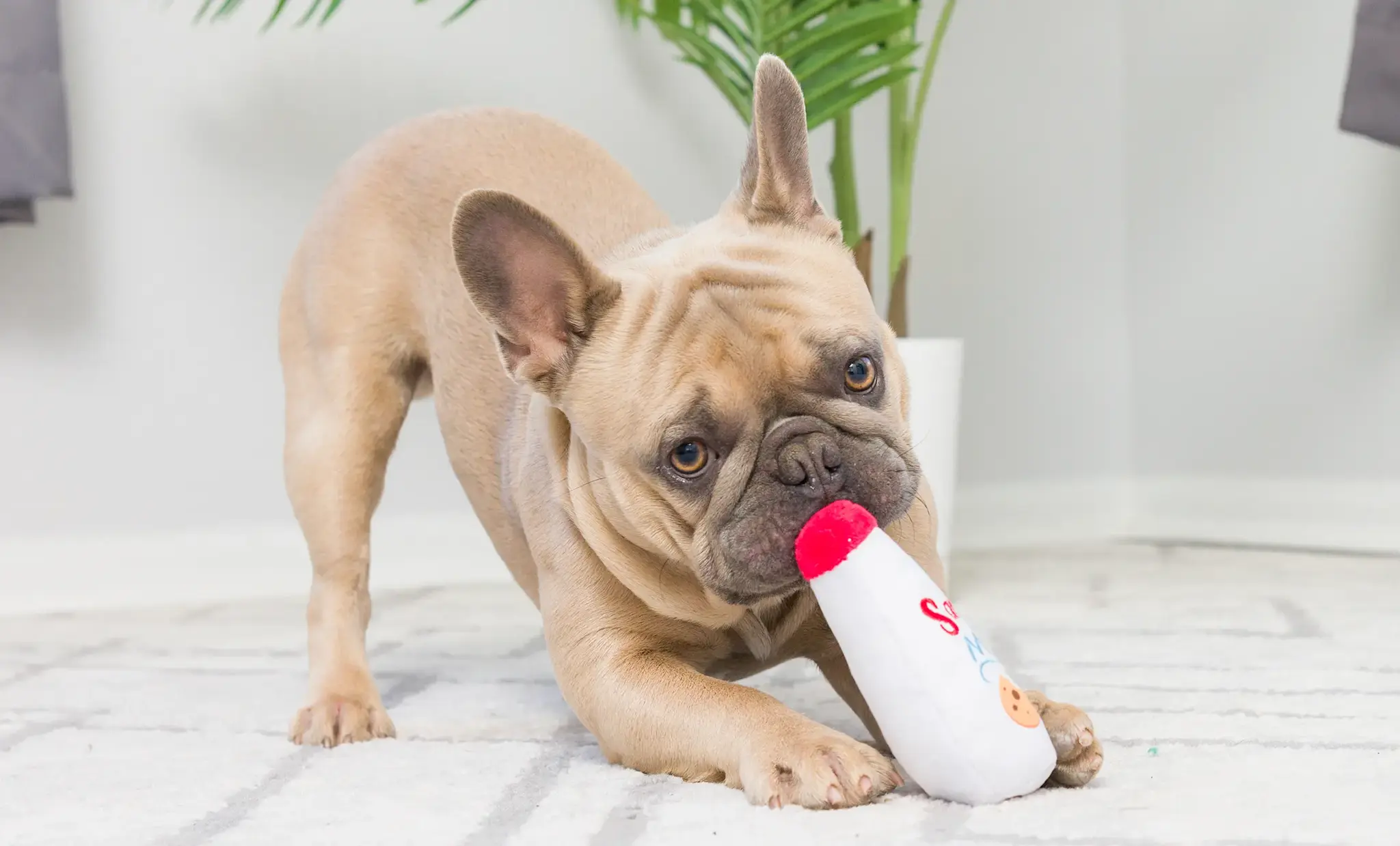 Huxley & Kent Lulubelles Tiny Tuff Santa’s Snack 2-pack