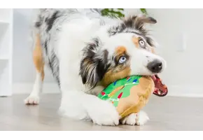 Huxley & Kent Lulubelles Holiday Lit Donut