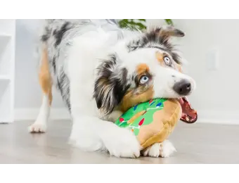 Huxley & Kent Lulubelles Holiday Lit Donut