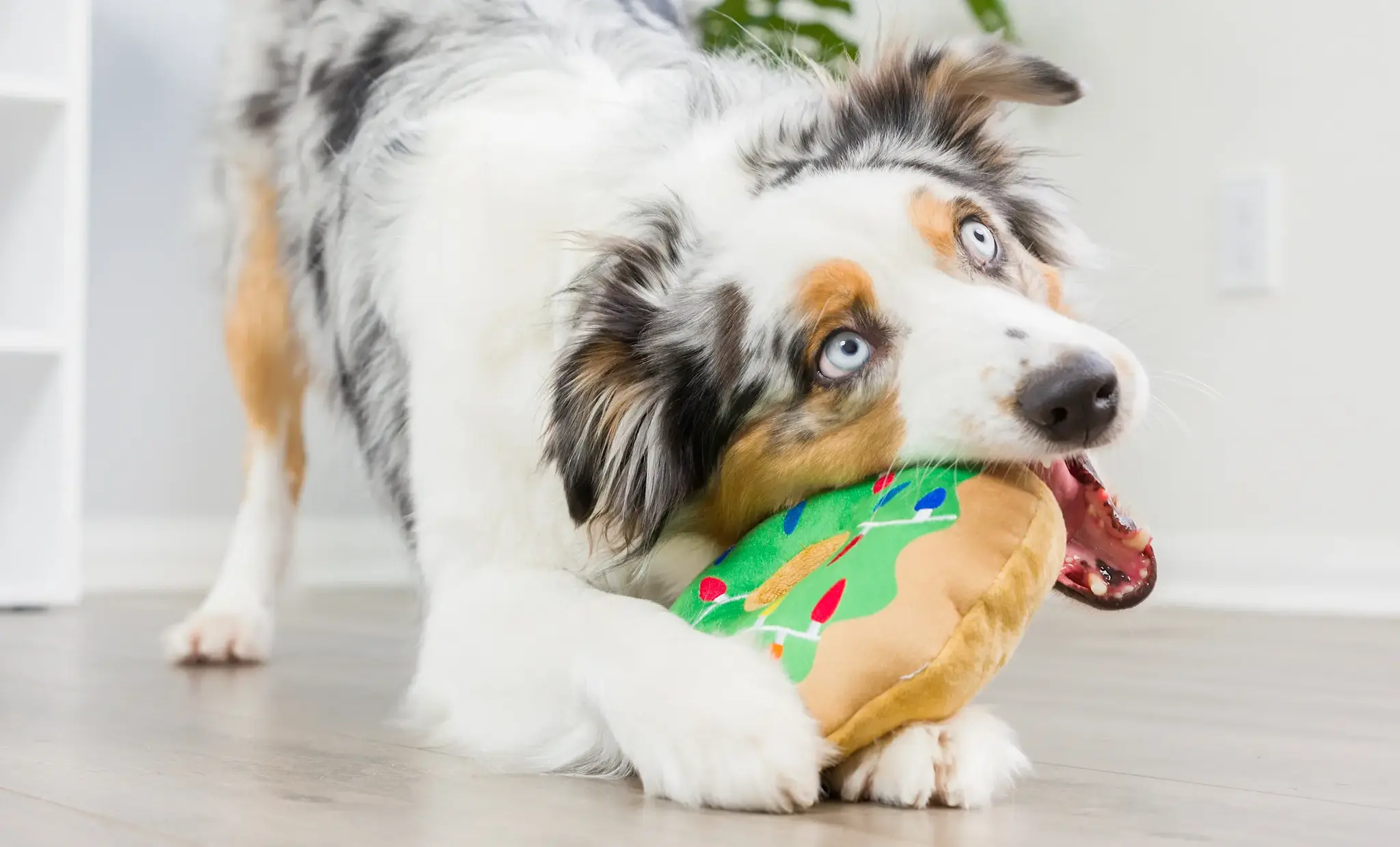 Huxley & Kent Lulubelles Holiday Lit Donut