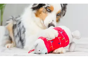 Huxley & Kent Lulubelles Holiday Deck the Bear